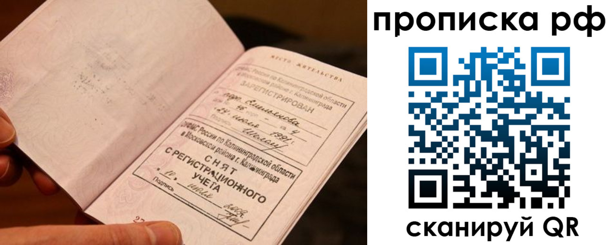 прописка гарантия в Московской области